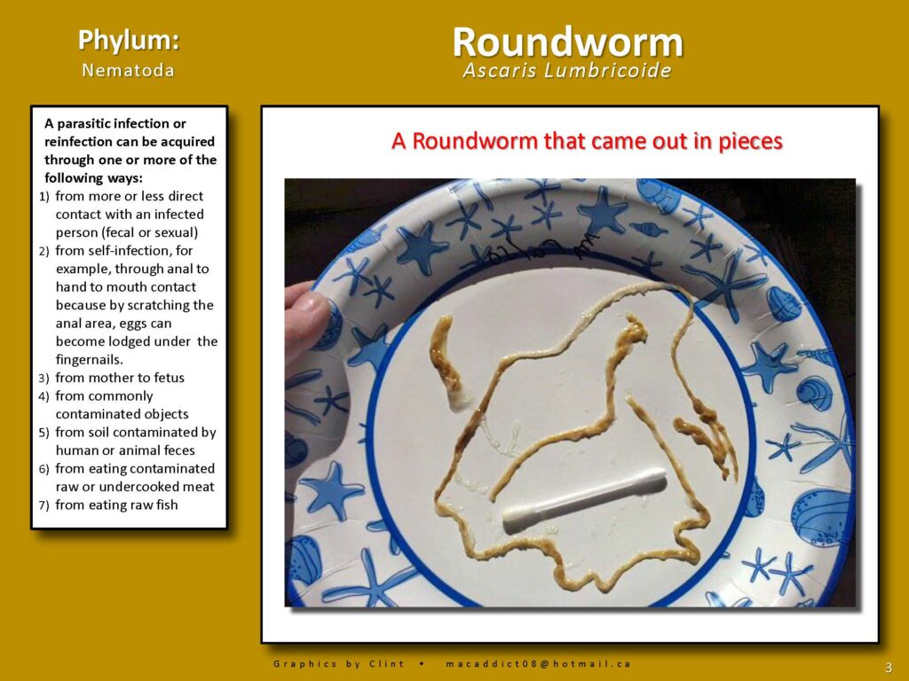1670893419_ParasiteIdentificationChart_Page_02 Colon Hydrotherapy